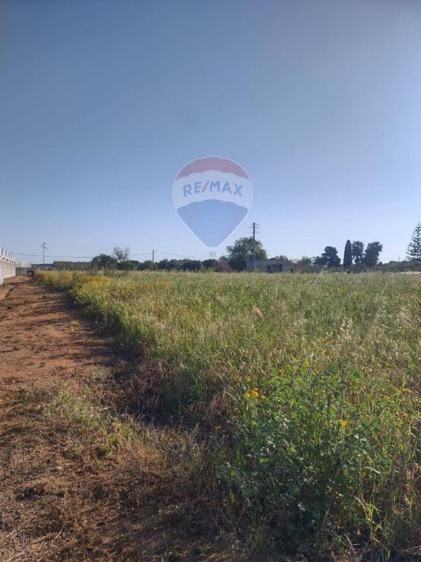 terreno agricolo in vendita ad Ispica in zona Marina Marza