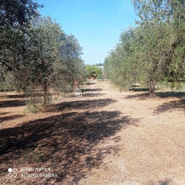 terreno agricolo in vendita ad Ispica