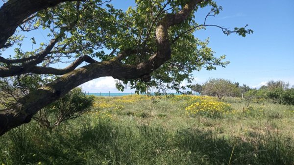 appartamento in vendita ad Ispica