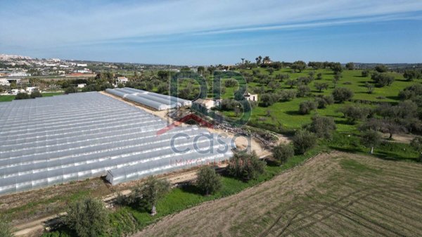 terreno agricolo in vendita ad Ispica in zona Santa Maria del Focallo