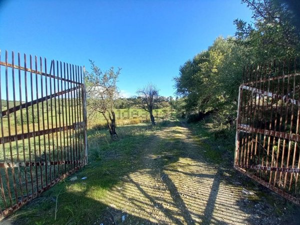 terreno agricolo in vendita ad Ispica