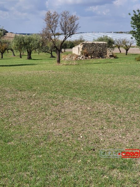 appartamento in vendita ad Ispica