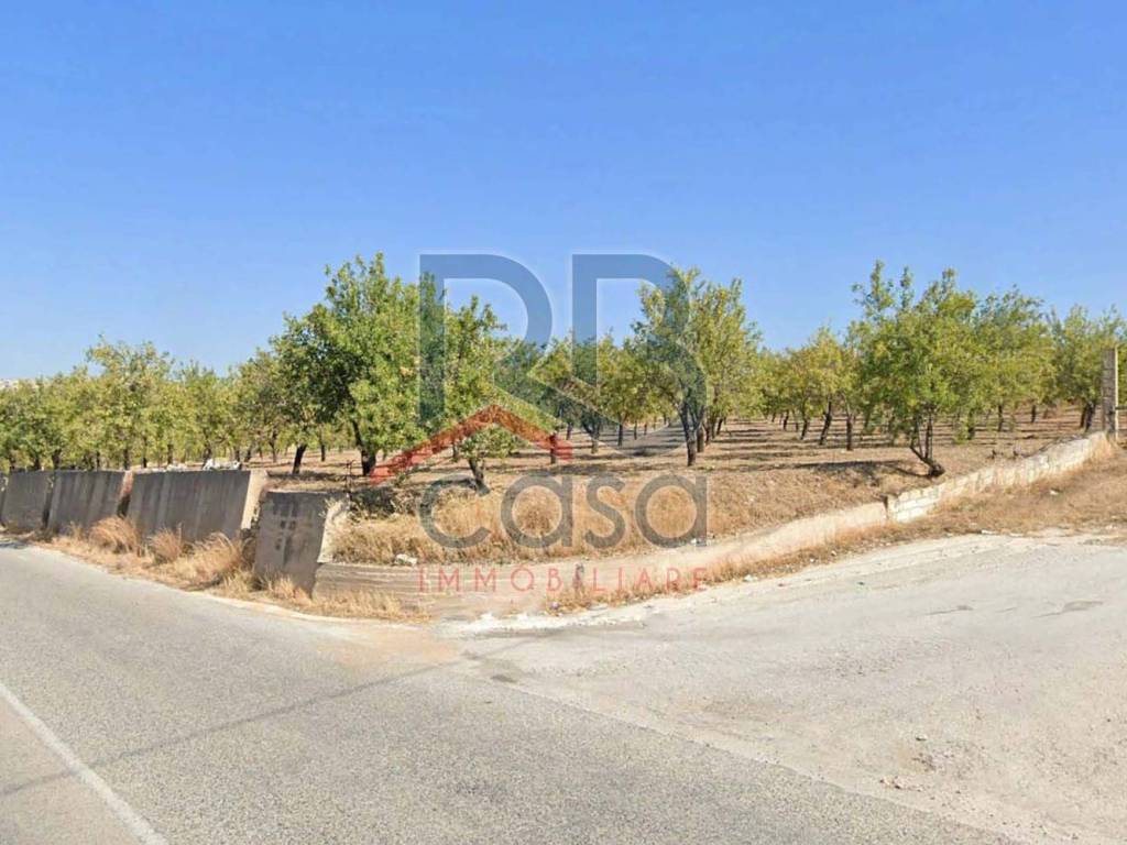 terreno agricolo in vendita ad Ispica