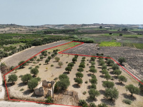 casa indipendente in vendita ad Ispica in zona Santa Maria del Focallo