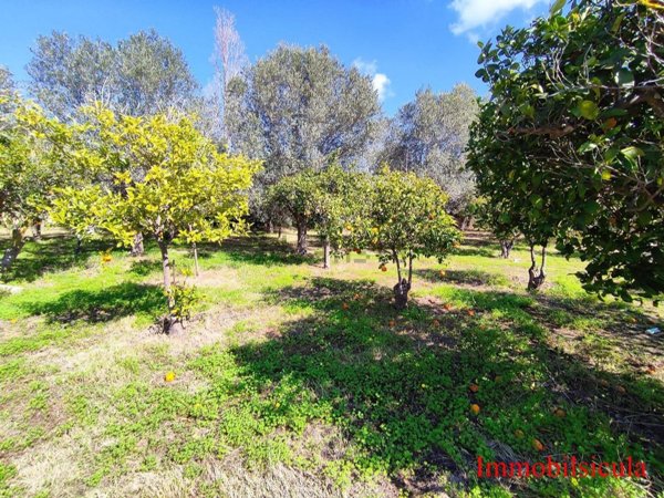 terreno agricolo in vendita ad Ispica