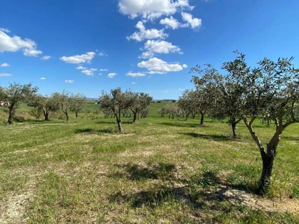 casa indipendente in vendita ad Ispica