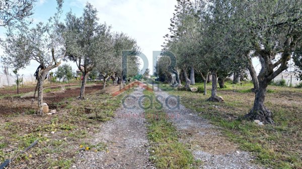 casa indipendente in vendita ad Ispica in zona Santa Maria del Focallo