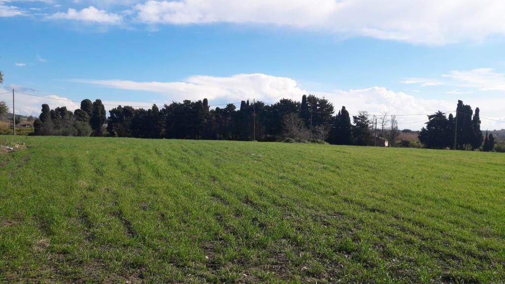 casa indipendente in vendita ad Ispica in zona Santa Maria del Focallo