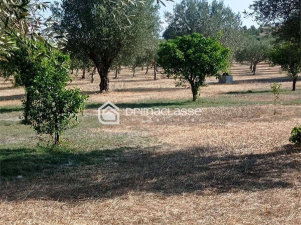 terreno agricolo in vendita ad Ispica