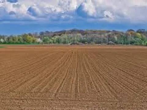 terreno agricolo in vendita ad Ispica