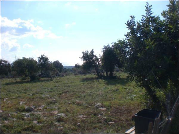 terreno agricolo in vendita a Modica in zona Sacro Cuore