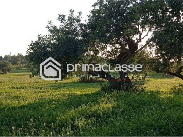 terreno agricolo in vendita a Modica in zona Zappulla