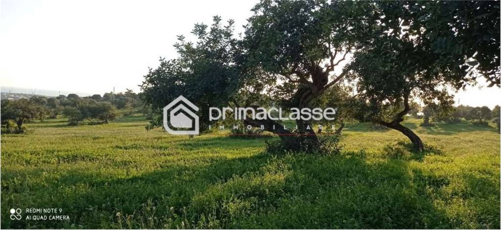 terreno agricolo in vendita a Modica