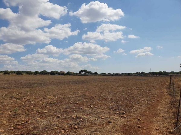 terreno agricolo in vendita a Modica in zona Zappulla