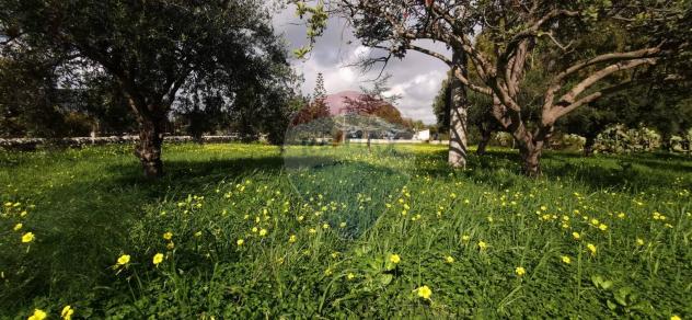 terreno agricolo in vendita a Modica in zona Marina di Modica