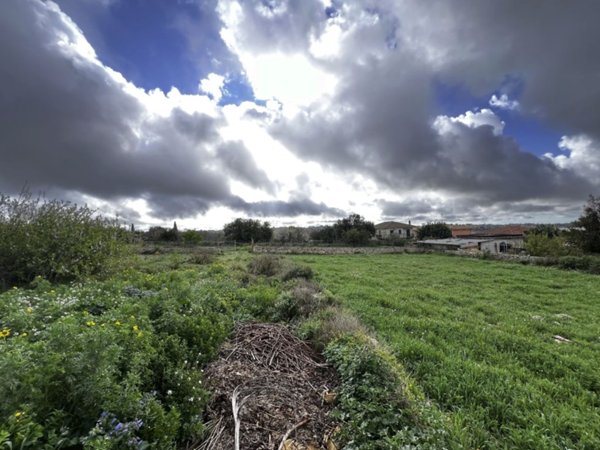 terreno agricolo in vendita a Modica
