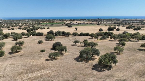 terreno agricolo in vendita a Modica
