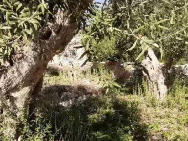 casa indipendente in vendita a Modica in zona Zappulla