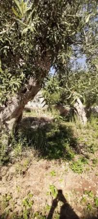 casa indipendente in vendita a Modica in zona Zappulla