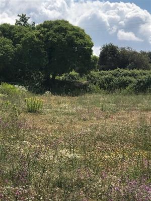terreno agricolo in vendita a Modica