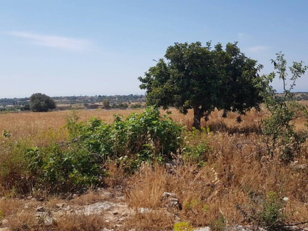 terreno agricolo in vendita a Modica
