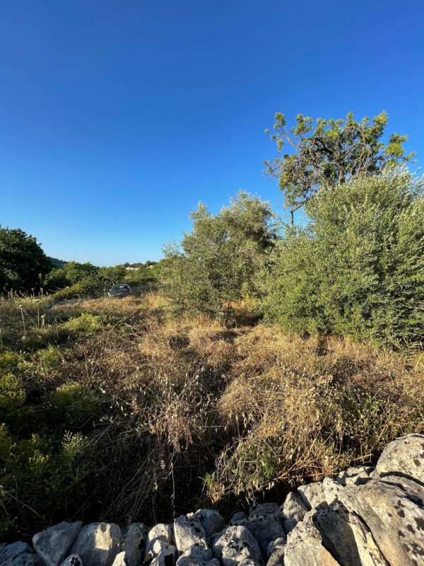 terreno agricolo in vendita a Modica