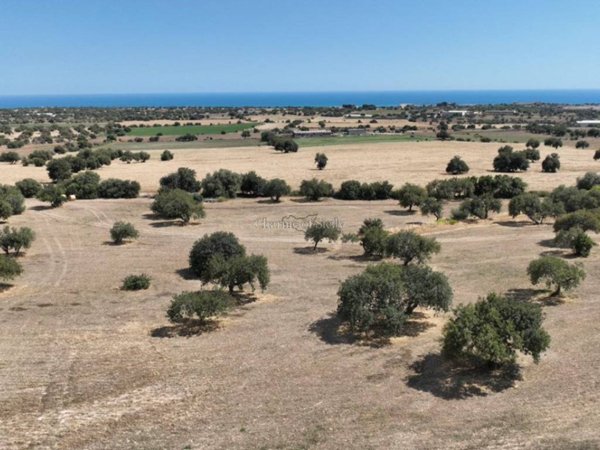 terreno agricolo in vendita a Modica in zona Zappulla
