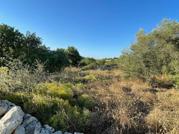 terreno agricolo in vendita a Modica