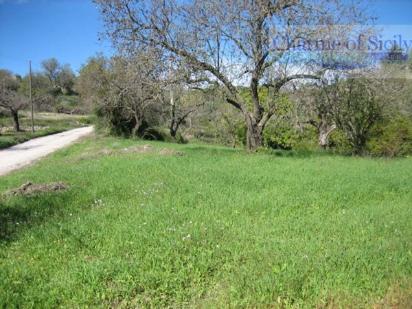 terreno agricolo in vendita a Modica