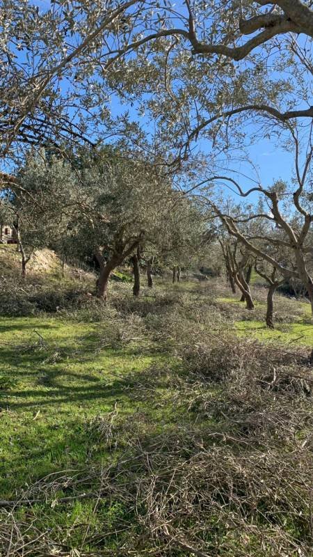 casa indipendente in vendita a Modica in zona Frigintini