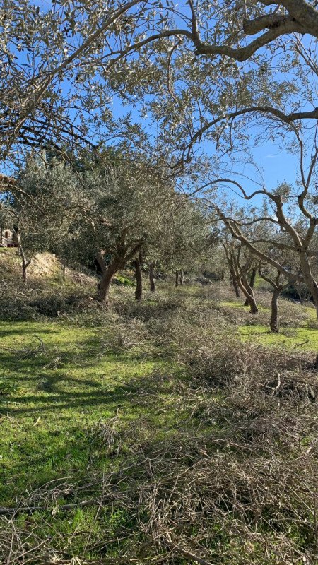 casa indipendente in vendita a Modica in zona Frigintini