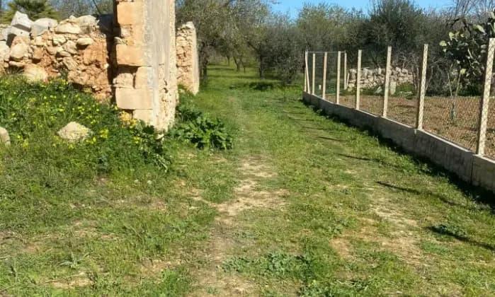 terreno agricolo in vendita a Modica