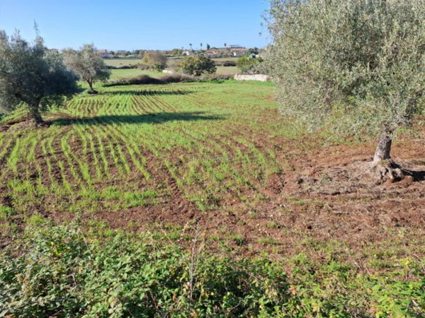 terreno agricolo in vendita a Modica in zona Sacro Cuore