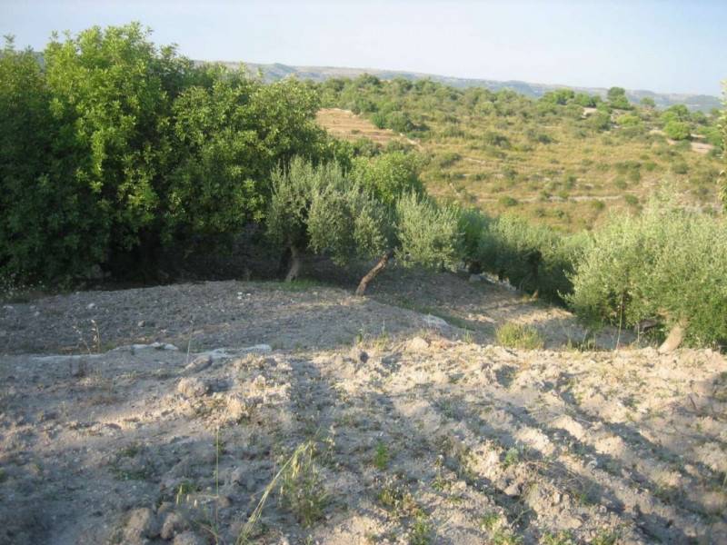 terreno agricolo in vendita a Modica in zona Frigintini