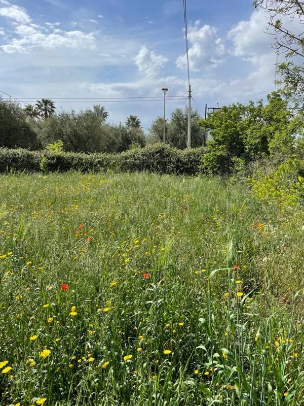 terreno agricolo in vendita a Modica in zona Sacro Cuore