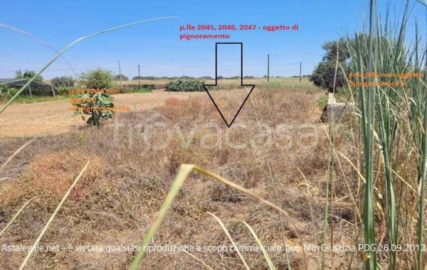 terreno agricolo in vendita a Modica