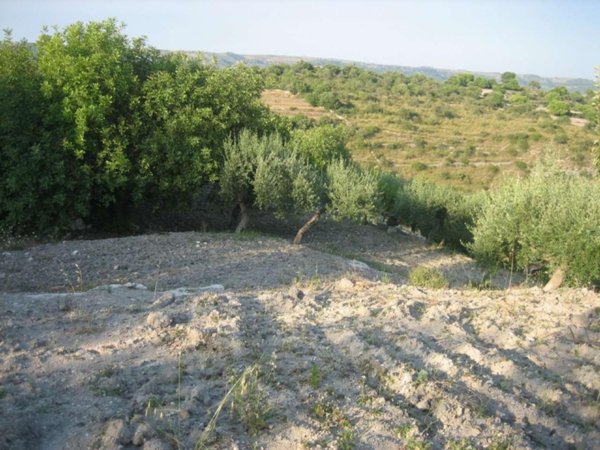 terreno edificabile in vendita a Modica in zona Frigintini