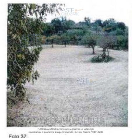 terreno agricolo in vendita a Modica