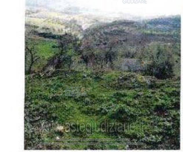 terreno agricolo in vendita a Modica