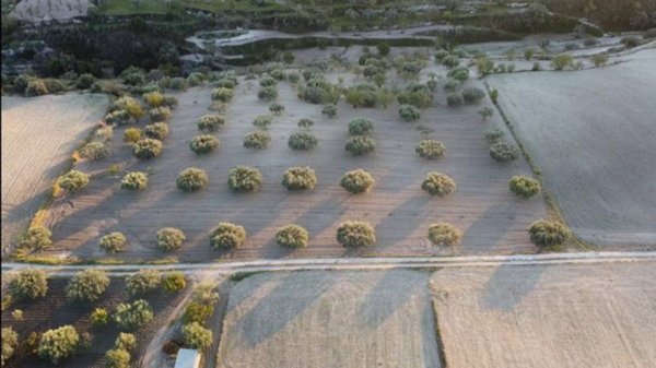 terreno agricolo in vendita a Modica