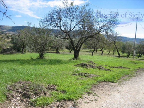 terreno agricolo in vendita a Modica