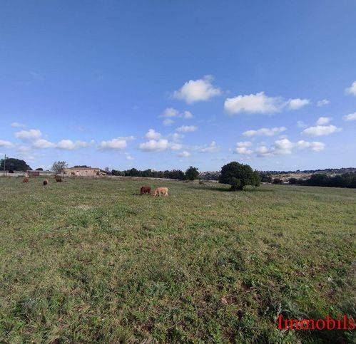 terreno agricolo in vendita a Modica