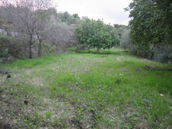 terreno edificabile in vendita a Modica in zona Frigintini