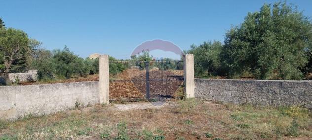 terreno agricolo in vendita a Modica