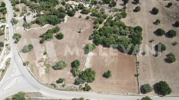 terreno agricolo in vendita a Modica in zona Sacro Cuore
