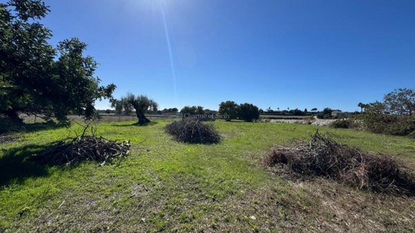 terreno agricolo in vendita a Modica