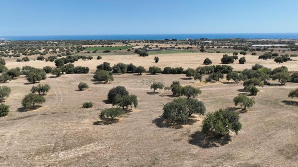 terreno agricolo in vendita a Modica