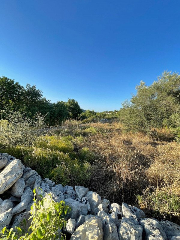 terreno agricolo in vendita a Modica