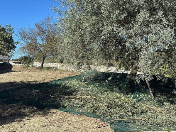 casa indipendente in vendita a Modica in zona Modica Alta