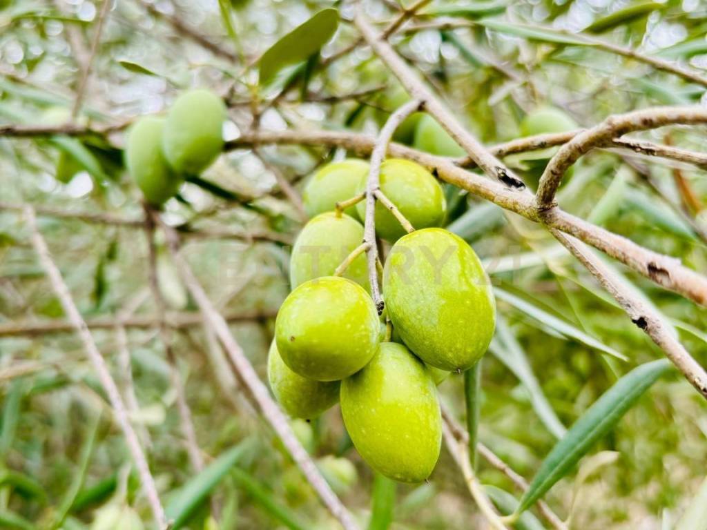 casa indipendente in vendita a Modica in zona Modica Alta
